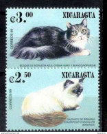 222  Chats - Cats - Nicaragua Yv 2373-74 MNH - 1,50 - Domestic Cats