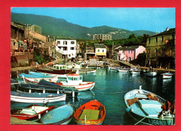 18638  Le Port De   CENTURI   Port De Pèche     (2 Scans ) 20 Corse - Other & Unclassified