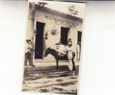 VENEZUELA  CARTE PHOTO - Venezuela