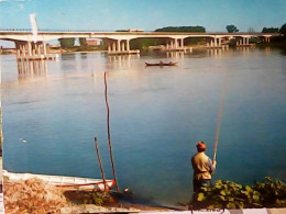 REGGIO EMILIA  PONTE  SUL PO TRA BORETTO E VIADANA  PESCATORE N1967 JV6364 - Reggio Nell'Emilia