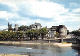 49-ANGERS-N°1019-A/0051 - Angers