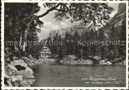 12304470 Seealpsee Berggasthaus Forelle Seealpsee - Andere & Zonder Classificatie