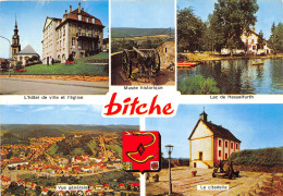 57-BITCHE-N°1020-C/0259 - Bitche