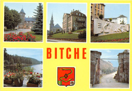 57-BITCHE-N°1020-C/0251 - Bitche