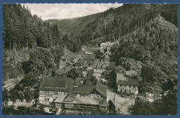 Brauerei-Gaststätte Falkenstein Ludwigsstadt, Gelaufen 1966 (AK3439) - Kronach