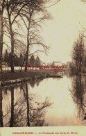 CPA COULOMMIERS - SEINE ET MARNE - LES BORDS DU MORIN - Coulommiers