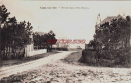 CPA CAYEUX SUR MER - SOMME - NEW BRIGHTON - Cayeux Sur Mer