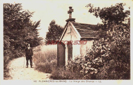 CPA PLOMBIERES LES BAINS - VOSGES - LA VIERGE DES CHAMPS - Plombieres Les Bains