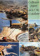 66-COLLIOURE-N°1025-A/0263 - Collioure