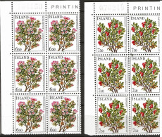 Iceland Island 1984  Flowers (III). Alpine Azalea, Bearberry  Mi 619-620 In Blocs Of Six  MNH(**) - Unused Stamps