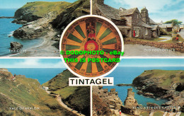 R552484 Tintagel. Salmon. Multi View - Welt