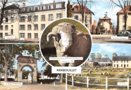 78-RAMBOUILLET-N°1029-B/0261 - Rambouillet
