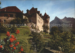 12274601 Gruyeres FR Chateau Dents De Broc Chamois Gruyeres - Sonstige & Ohne Zuordnung