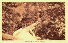 CPA GENOLHAC - GARD - PONT DE LA MOLINE - Other & Unclassified