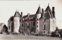 CPSM ORGERES EN BEAUCE - EURE ET LOIR - LE CHATEAU DE VILLEPION - Otros & Sin Clasificación