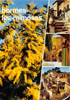 83-BORMES LES MIMOSAS-N°1031-B/0009 - Bormes-les-Mimosas