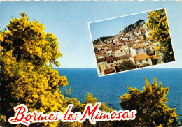 83-BORMES LES MIMOSAS-N°1031-B/0003 - Bormes-les-Mimosas