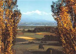 DIVONNE LES BAINS Le Lac Leman Et Le Mont Blanc Vus De Divonne 30(scan Recto-verso) MA2205 - Divonne Les Bains