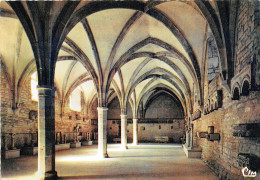 CLUNY Cellier Du Farineir 26(scan Recto-verso) MA2240 - Cluny