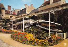 LUC SUR MER Jerdin Municipal Squelette De La Baleine 2(scan Recto-verso) MB2378 - Luc Sur Mer