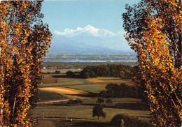 DIVONNE LES BAINS Le Lac Leman Et Le Mont Blanc Vus De Divonne 20(scan Recto-verso) MA2262 - Divonne Les Bains