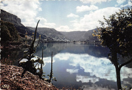 NANTUA Un Coin Du Lac 27(scan Recto-verso) MA2258 - Nantua