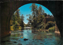 CLECY Paysage Pris Sous L Arche Du Pont Du Vey 17(scan Recto-verso) MB2383 - Clécy