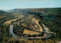 SAINT ANTONIN NOBLE VAL Cieque De Bone Boucle De L' AVEYRON 40  (scan Recto-verso)MA2270Ter - Saint Antonin Noble Val