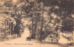 TERVUEREN - Drève Au Bord Des Etangs - Tervuren