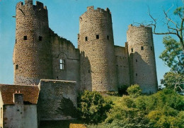 BOURBON L 'ARCHAMBAULT    Le Chateau Les Ruines  4   (scan Recto-verso)MA2274Ter - Bourbon L'Archambault