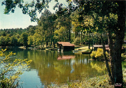 MIMIZAN Cabanes De Pecheurs Au Bord Du Lac  5 (scan Recto-verso)MA2281Bis - Mimizan Plage