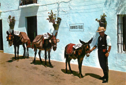 COSTA DEL SOL Andalousia MIJAS Parada De Burros TAXI  38 (scan Recto-verso)MA2283Ter - Sonstige & Ohne Zuordnung