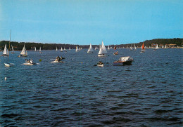 Hossegor CAPBRETON Régates Sur Le Lac    55 (scan Recto-verso)MA2281Bis - Capbreton