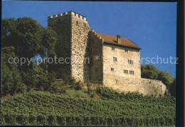 12249281 Brugg AG Schloss Restaurant Habsburg Brugg AG - Other & Unclassified