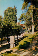 BOURBONNE LES BAINS  Parc Du Casino   21 (scan Recto-verso)MA2286 - Bourbonne Les Bains