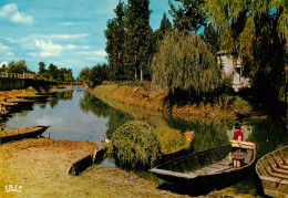 ARCAIS Le Port  Sevre Niortaise DEUX SEVRES 79   Marais Poitevin   40 (scan Recto-verso)MA2286Ter - Niort