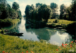 ARCAIS LE LOGIS Oasis De Verdure  DEUX SEVRES 79 Marais Poitevin   45 (scan Recto-verso)MA2286Ter - Niort