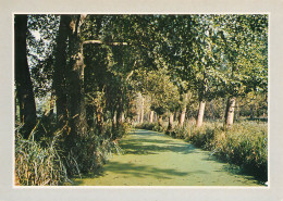 Conche à Coulon DEUX SEVRES 79 Marais Poitevin  49 (scan Recto-verso)MA2286Ter - Niort