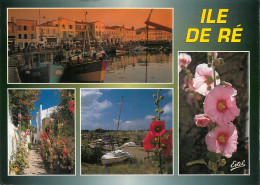 ILE DE Ré  Multivue   St Martin 45 (scan Recto-verso)MA2287Ter - Saint-Martin-de-Ré