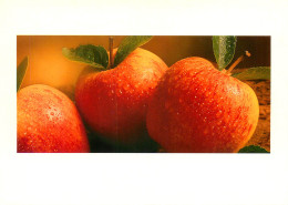 Recette  Pommes Apple Fruits   45  (scan Recto-verso)MA2288Bis - Recepten (kook)