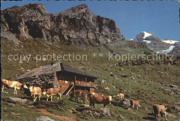 12243542 Kandersteg BE Sennhuette Auf Unter-Oeschinenalp Kandersteg - Other & Unclassified