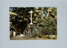 Fontainebleau (77) : Dans La Forêt - Croix Saint Gérôme - Fontainebleau