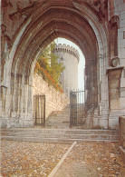 CHAMBERY   Chateau Des Ducs De Savoie  Le Portail St Dominique  32 (scan Recto-verso)MA2290Bis - Chambery