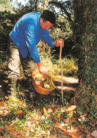 Recette  Cêpes POUILLON Landes La Cueillette  16 (scan Recto-verso)MA2293 - Ricette Di Cucina