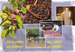 Recette  Pruneau D' AGEN Prune  27 (scan Recto-verso)MA2293 - Recetas De Cocina