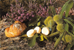 Recette  Chataignes Et Fromages De Chèvres Cabécous Quercy, Rouergue, Périgord  37 (scan Recto-verso)MA2293 - Recipes (cooking)