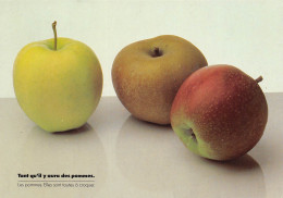 Recette  Divers Pommes  44 (scan Recto-verso)MA2293 - Recipes (cooking)