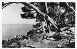 Roquebrune-Cap-Martin La Pinede   23 (scan Recto-verso)MA2294Bis - Roquebrune-Cap-Martin