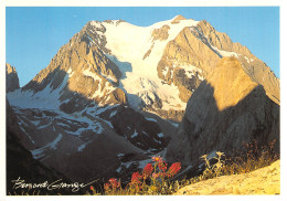 LA GRANDE CASSE  Bernard Grange VALLOIRE  38 (scan Recto-verso)MA2294Und - Other & Unclassified