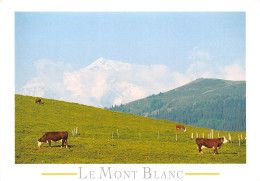 Paturages Au Col Des ARAVIS Coté  Ouest Et Mont Blanc  33  (scan Recto-verso)MA2295 - Thônes